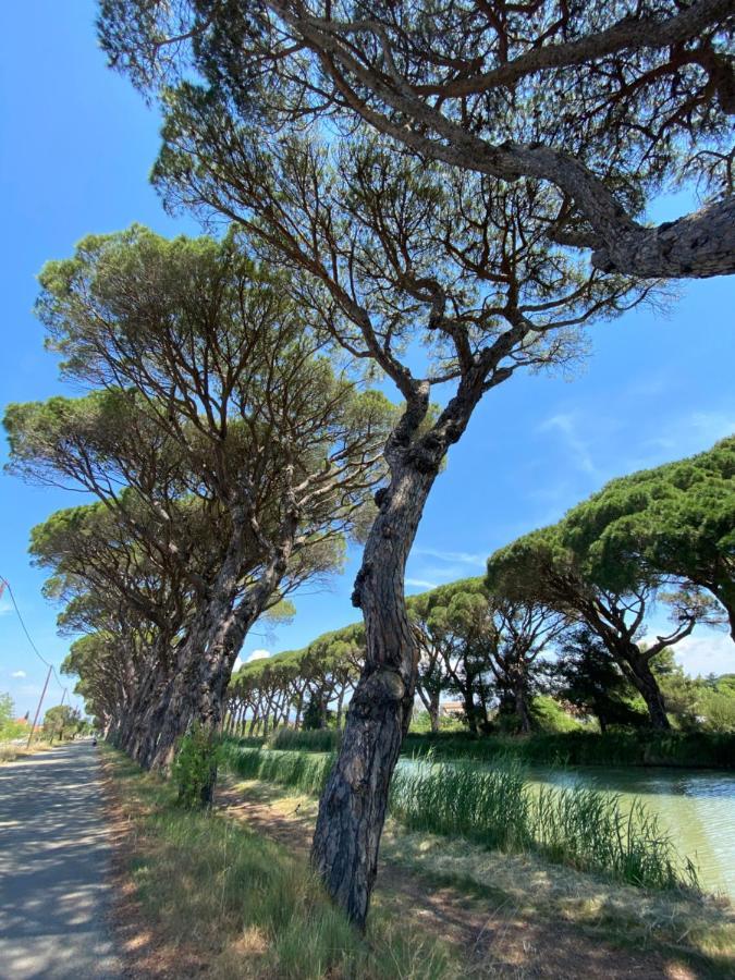 مبيت وإفطار Peyriac-Minervois Le Relais D'Affiac المظهر الخارجي الصورة