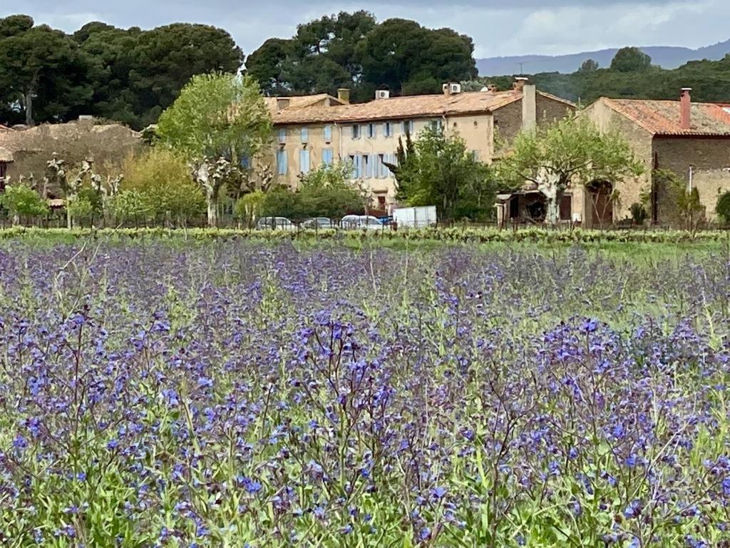 مبيت وإفطار Peyriac-Minervois Le Relais D'Affiac المظهر الخارجي الصورة