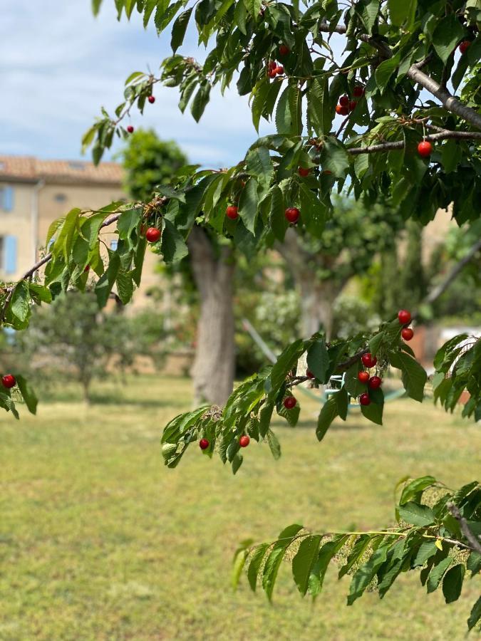 مبيت وإفطار Peyriac-Minervois Le Relais D'Affiac المظهر الخارجي الصورة