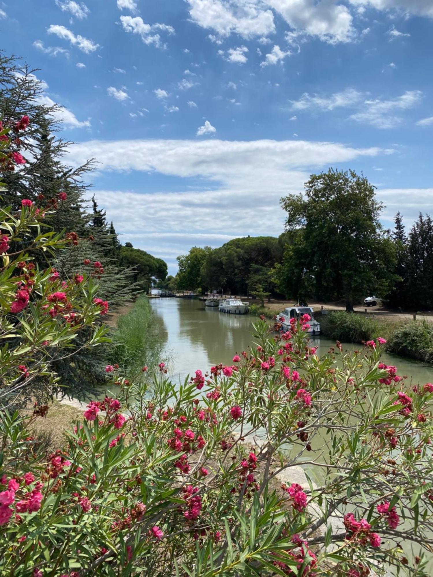 مبيت وإفطار Peyriac-Minervois Le Relais D'Affiac المظهر الخارجي الصورة
